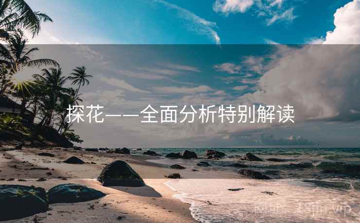 探花——全面分析特别解读