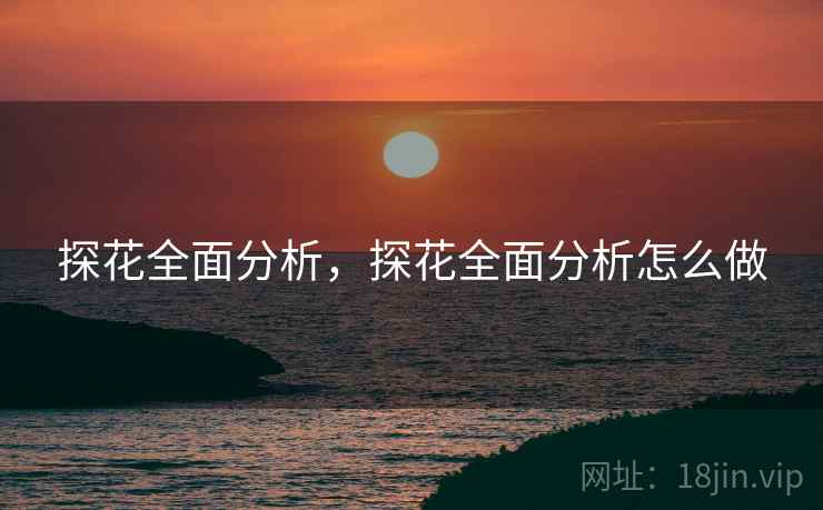探花全面分析，探花全面分析怎么做