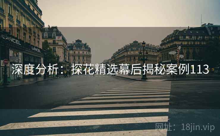 深度分析：探花精选幕后揭秘案例113