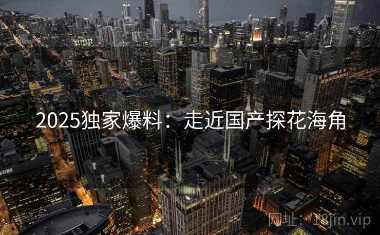 2025独家爆料：走近国产探花海角