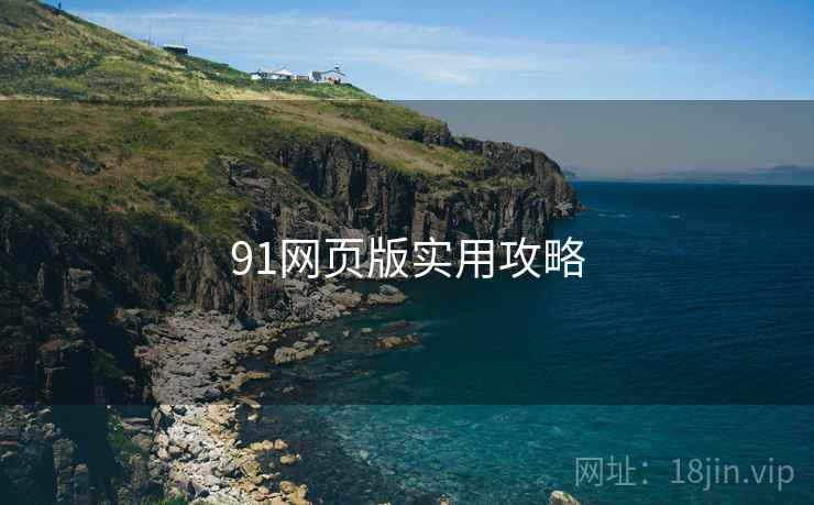 91网页版实用攻略