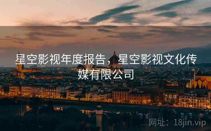 星空影视年度报告，星空影视文化传媒有限公司
