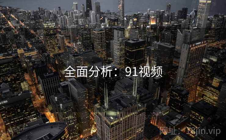 全面分析：91视频