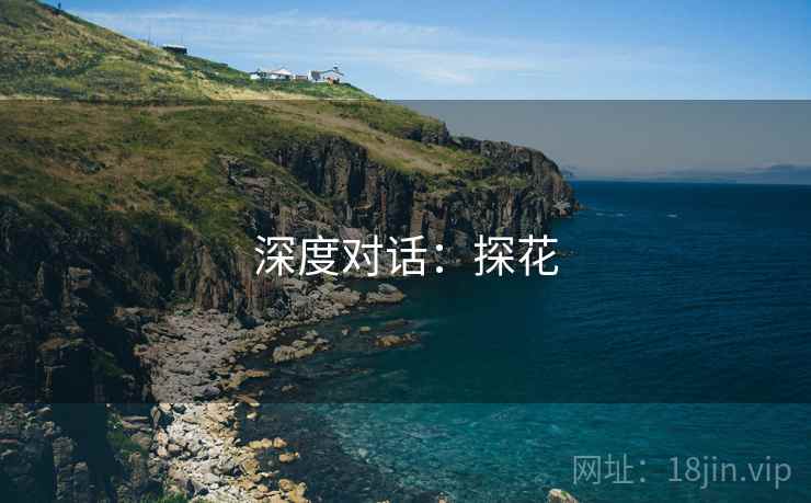 深度对话：探花