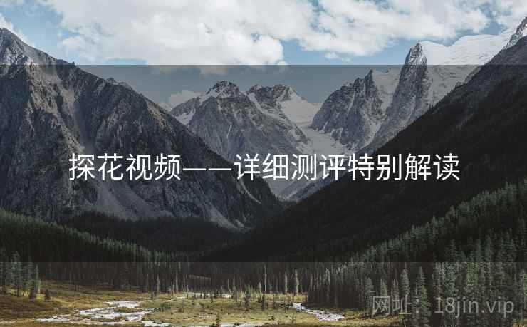 探花视频——详细测评特别解读