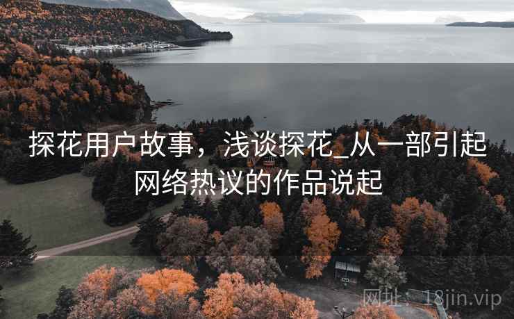 探花用户故事，浅谈探花_从一部引起网络热议的作品说起