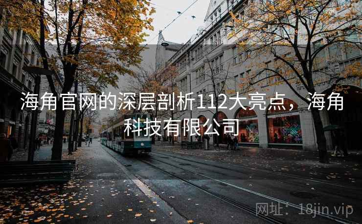 海角官网的深层剖析112大亮点，海角科技有限公司