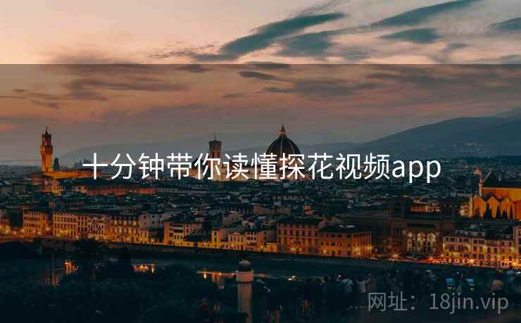 十分钟带你读懂探花视频app