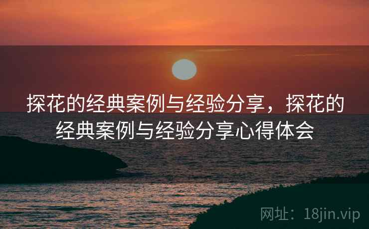 探花的经典案例与经验分享，探花的经典案例与经验分享心得体会