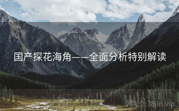 国产探花海角——全面分析特别解读