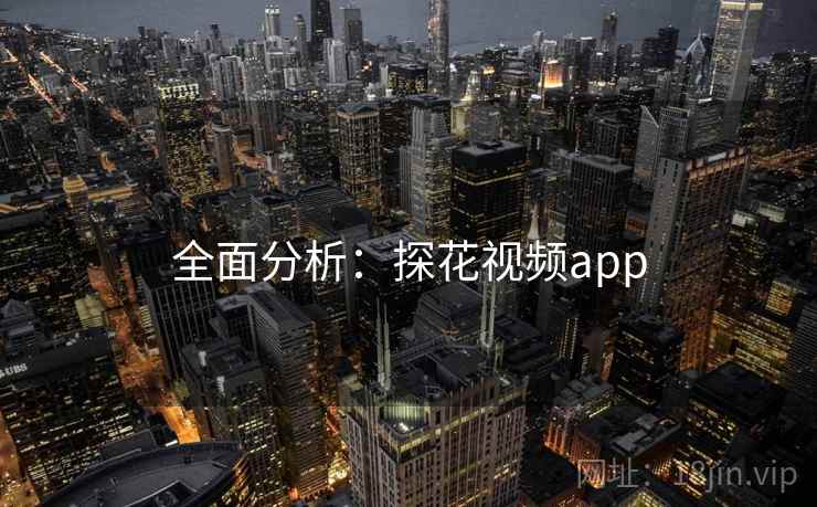 全面分析：探花视频app