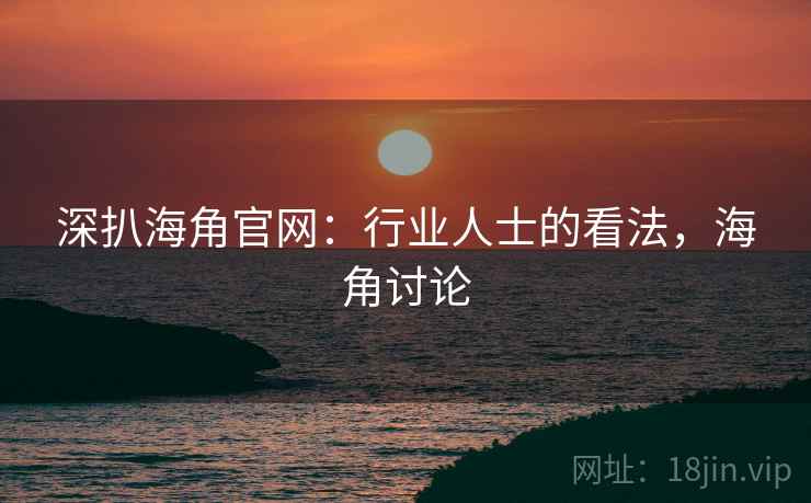 深扒海角官网：行业人士的看法，海角讨论